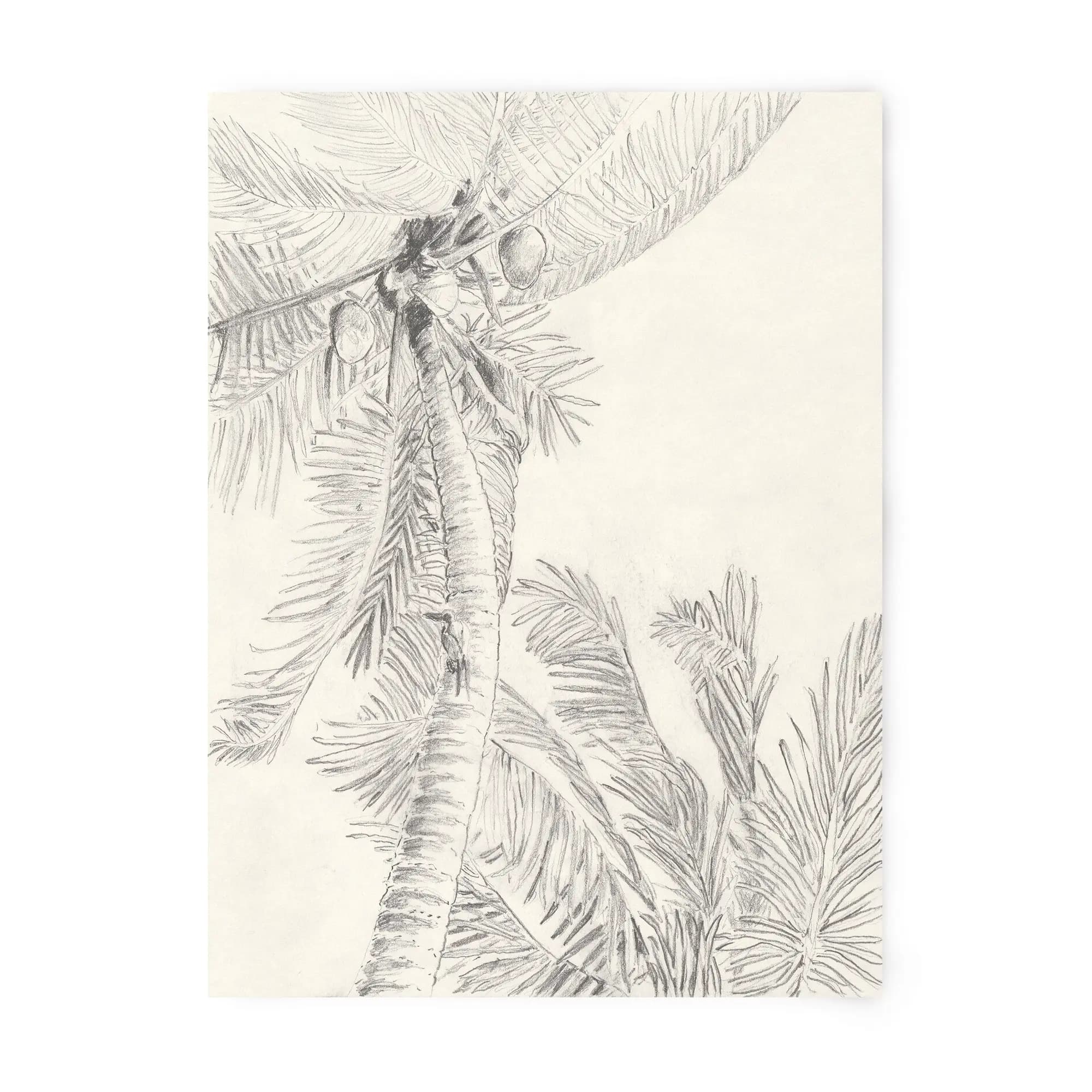 La palmera